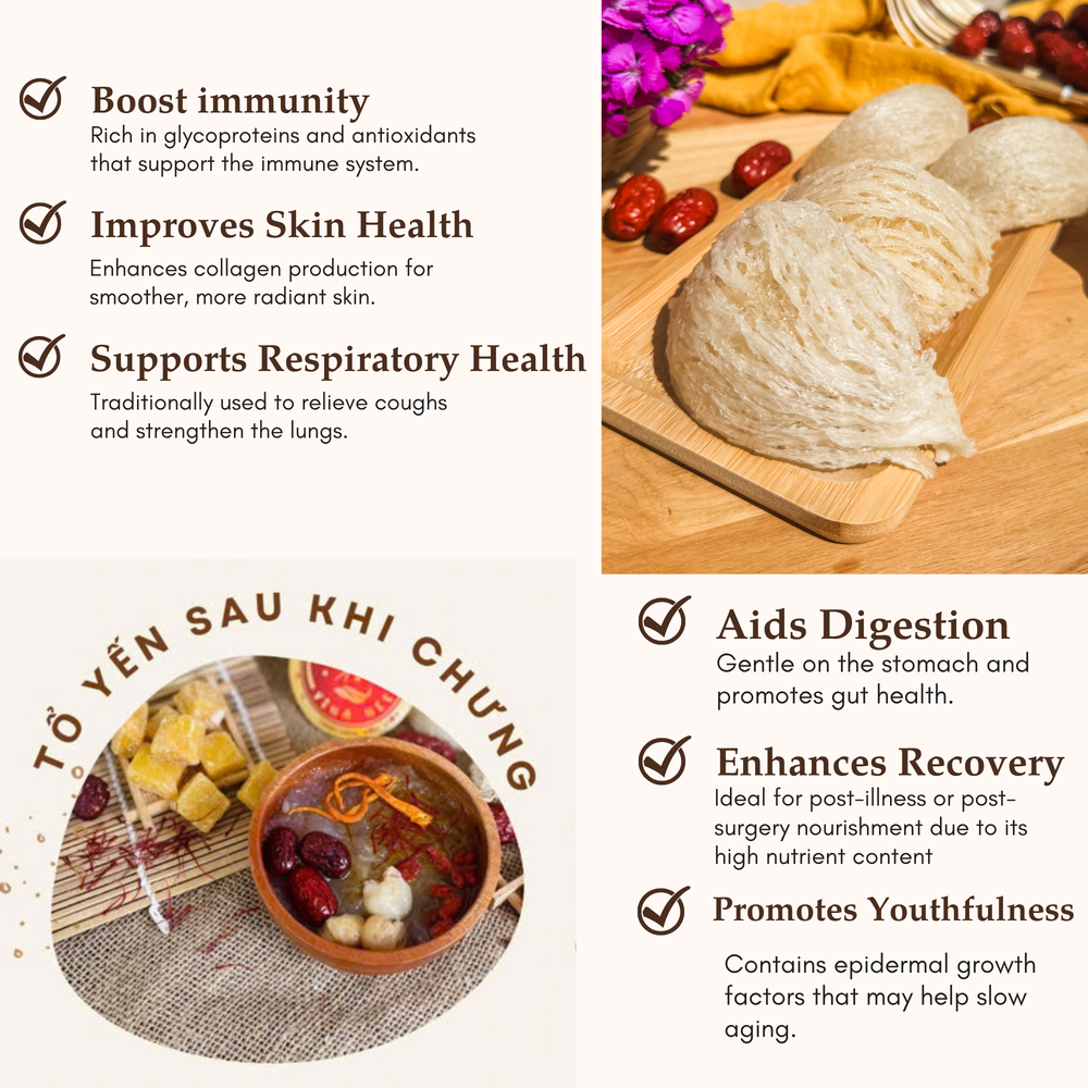 
                  
                    Vietnam Birdsnest Simply Swift #BN002
                  
                