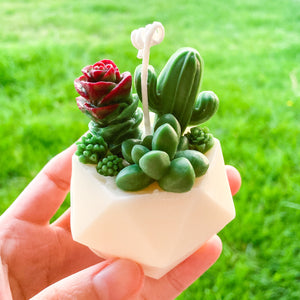 
                  
                    Succulent Cactus Shaped Candle #SS001
                  
                