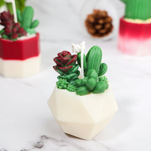 
                  
                    Succulent Cactus Shaped Candle #SS001
                  
                