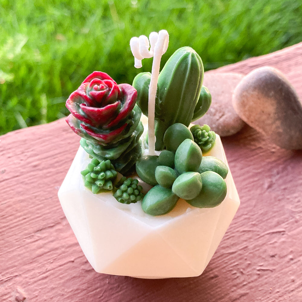 
                  
                    Succulent Cactus Shaped Candle #SS001
                  
                