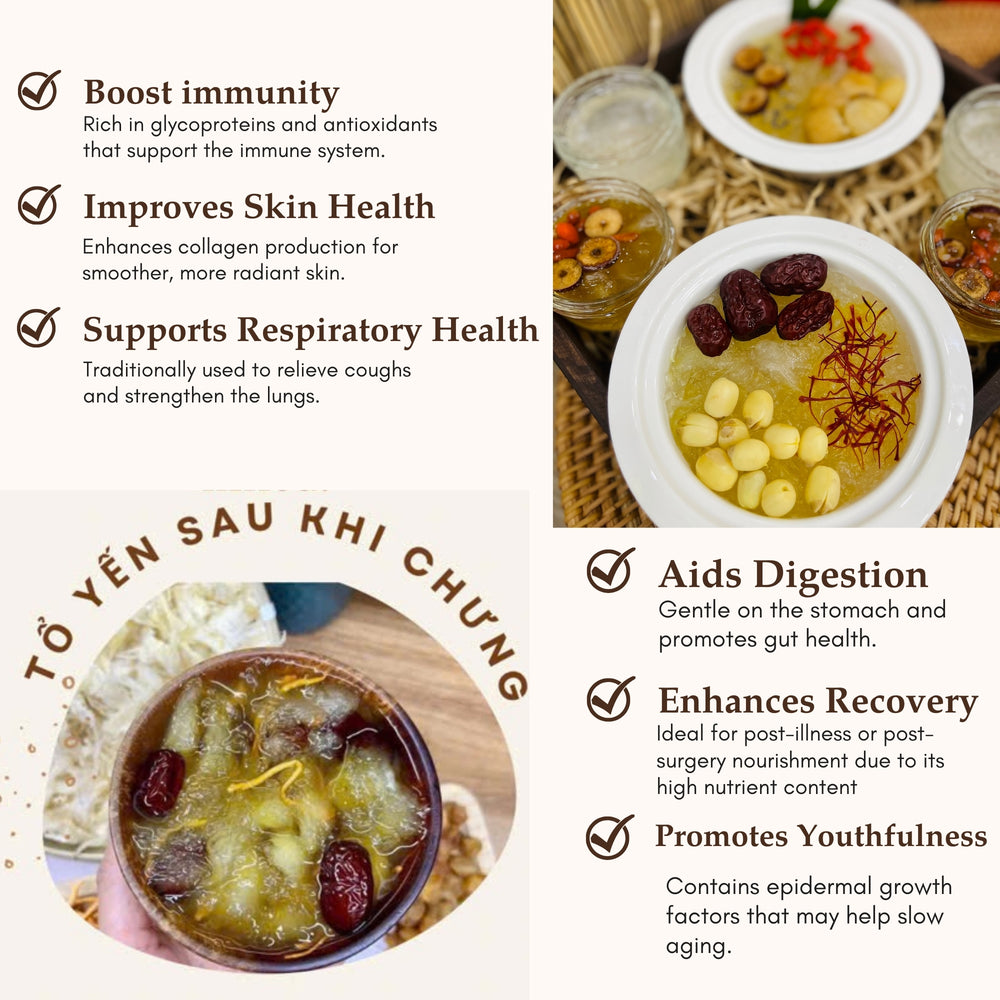 
                  
                    Vietnam Birdsnest Original #2
                  
                